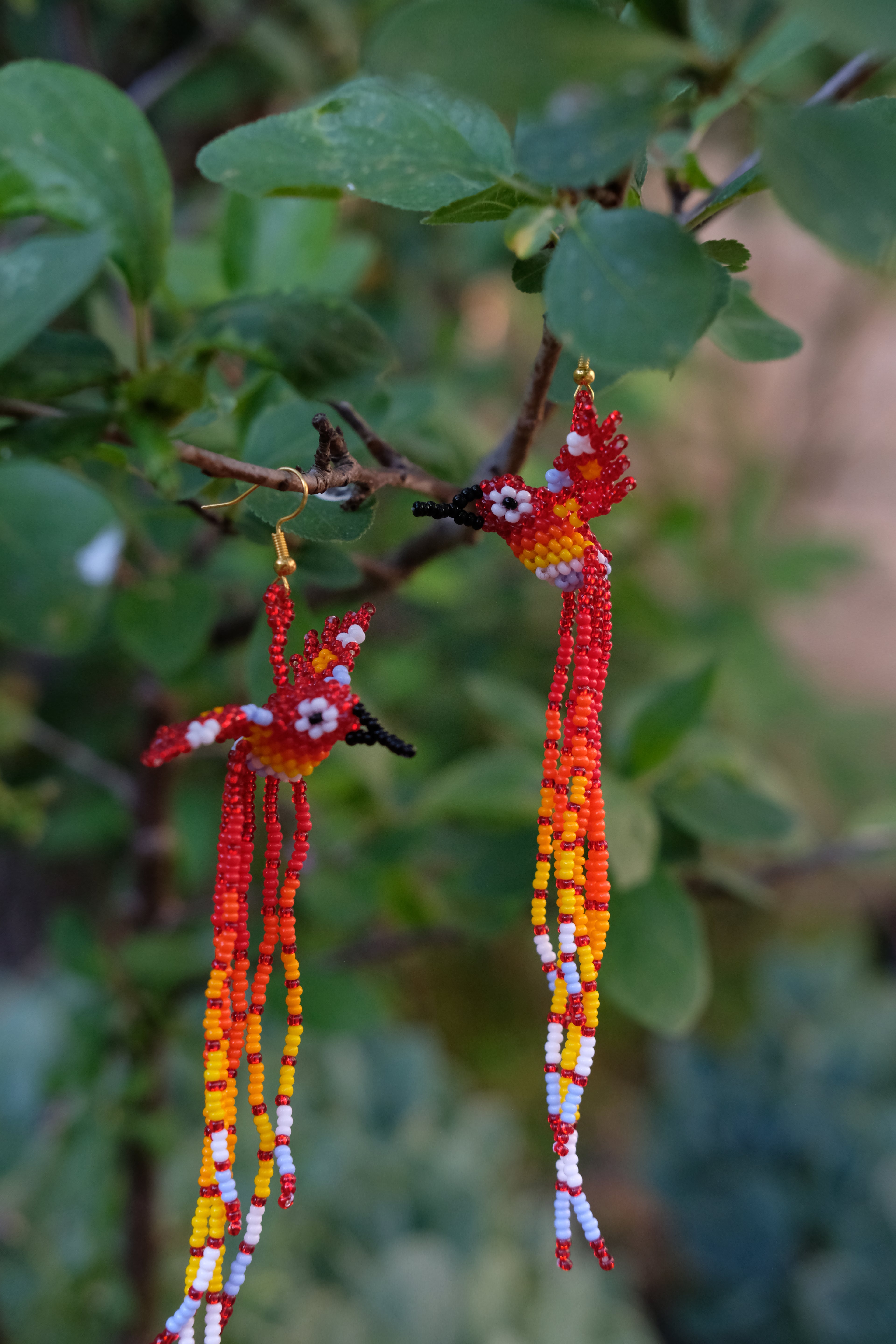 Espiritu del Colibri