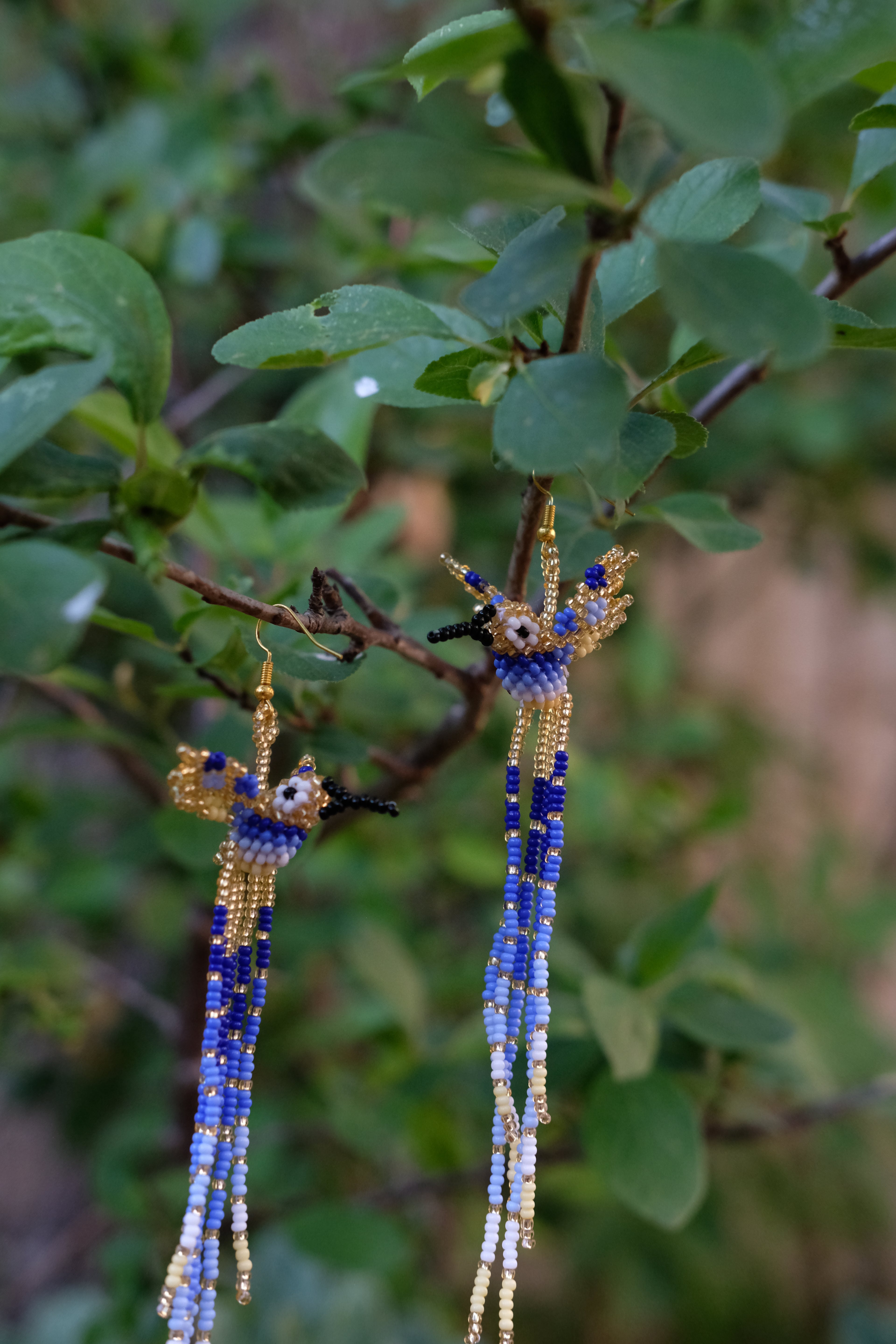 Espiritu del Colibri