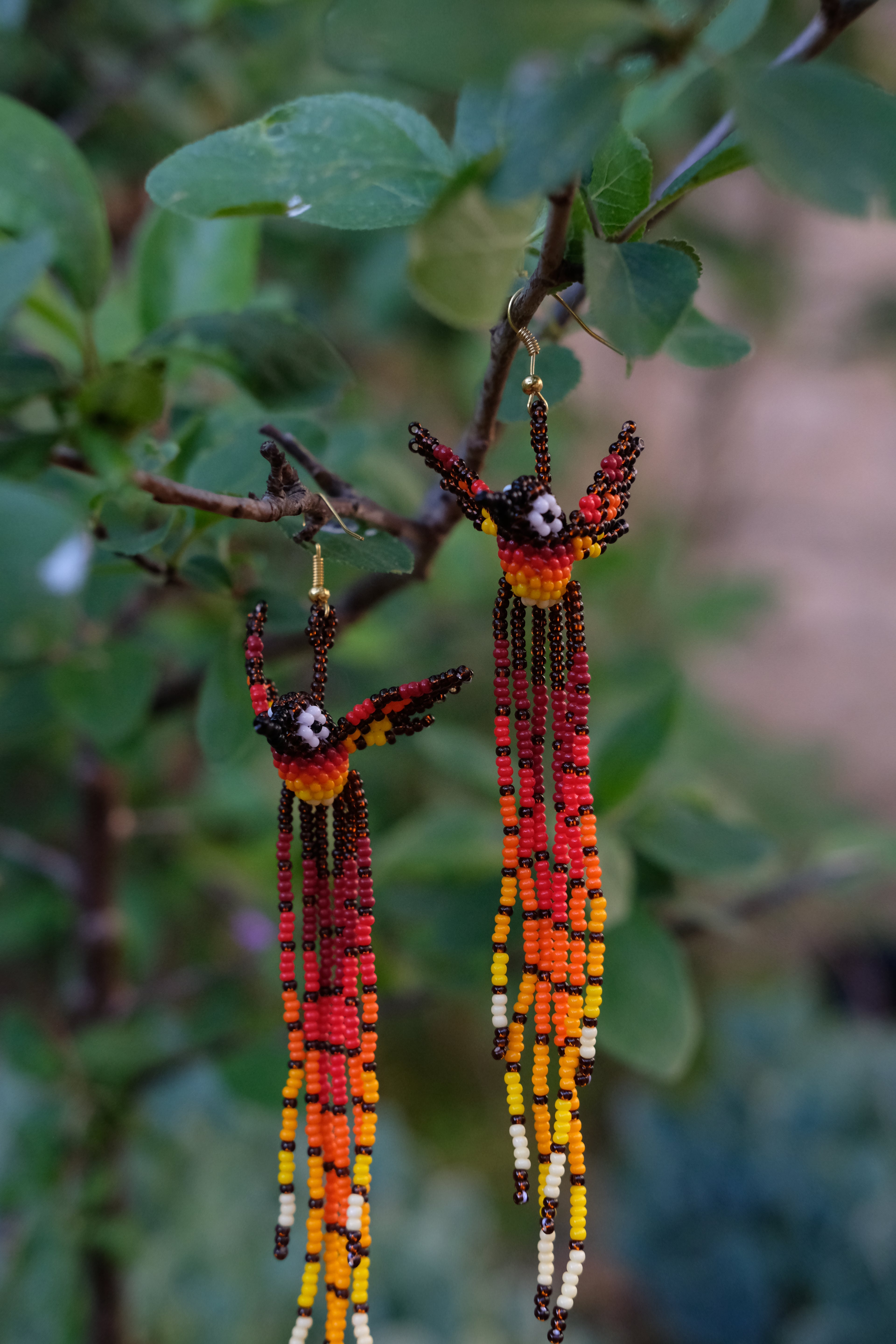 Espiritu del Colibri