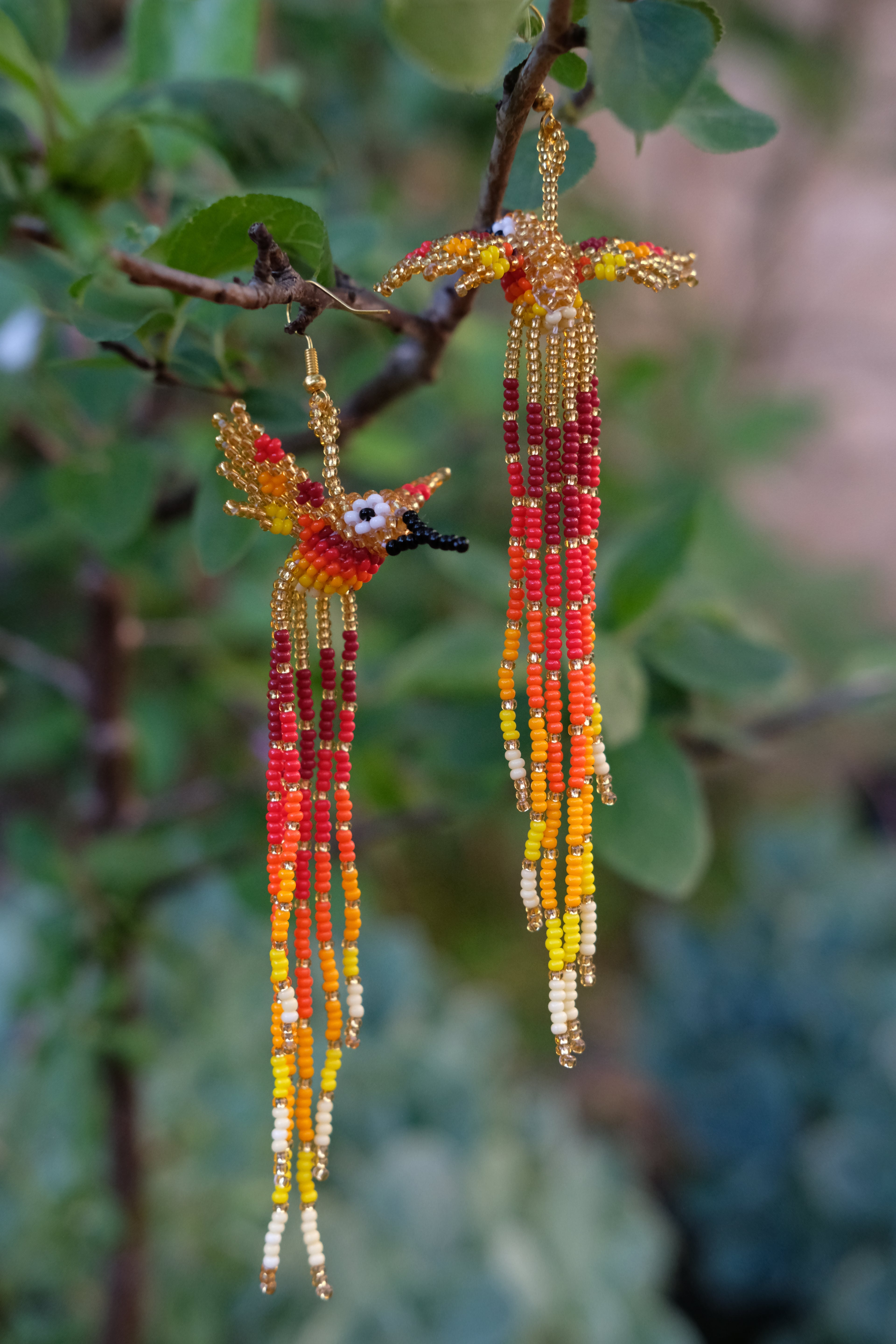 Espiritu del Colibri