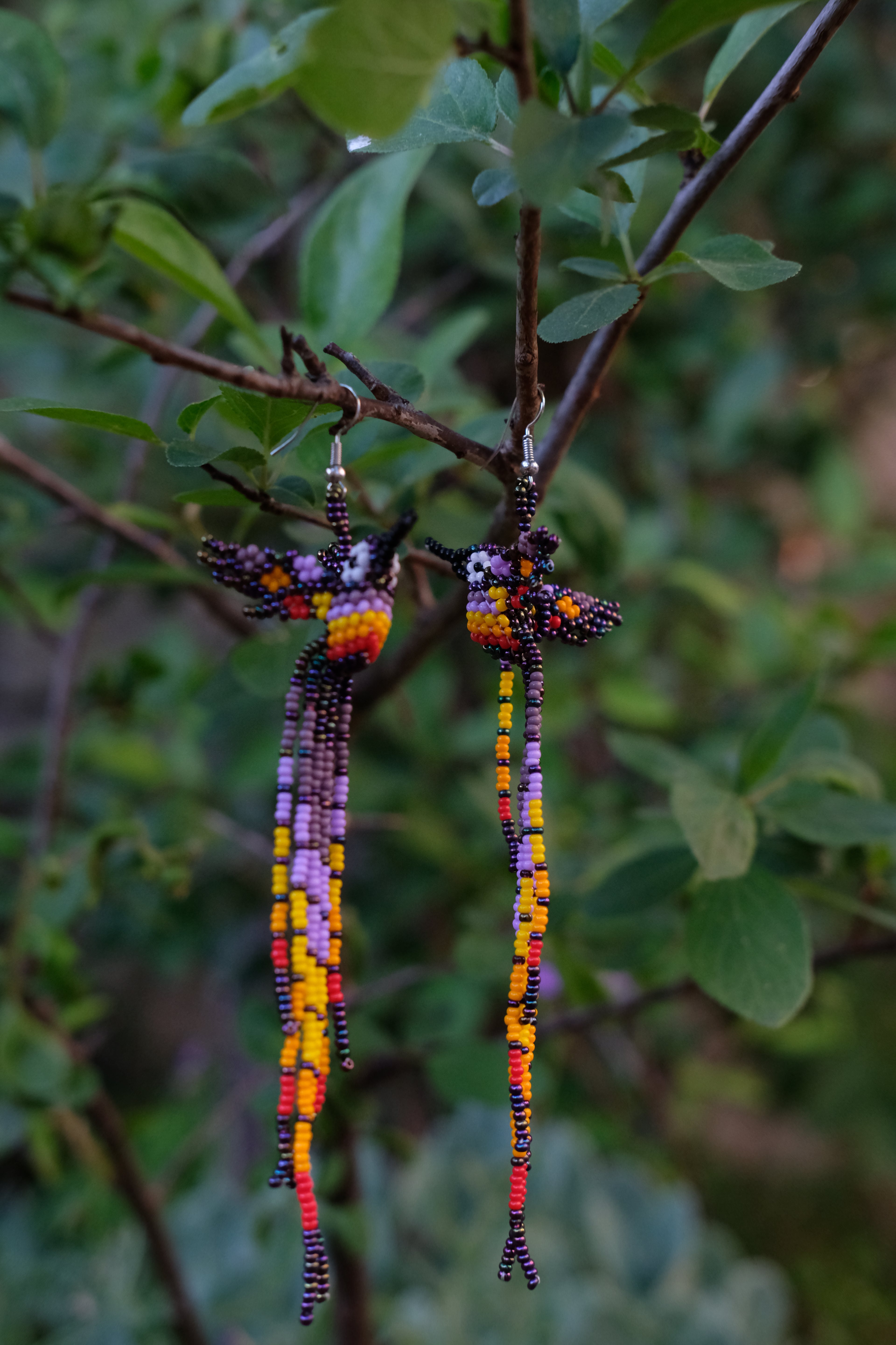 Espiritu del Colibri