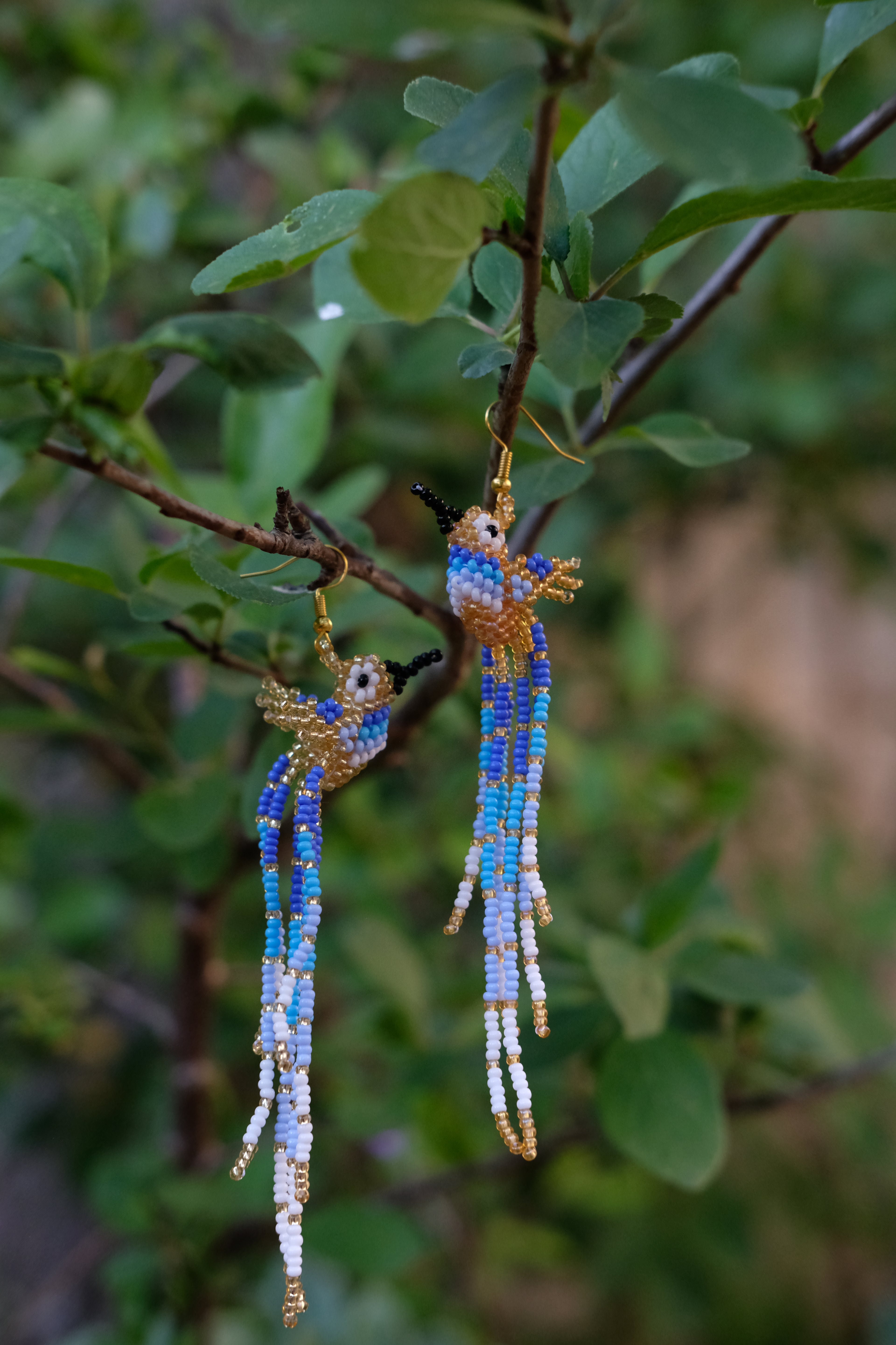 Espiritu del Colibri