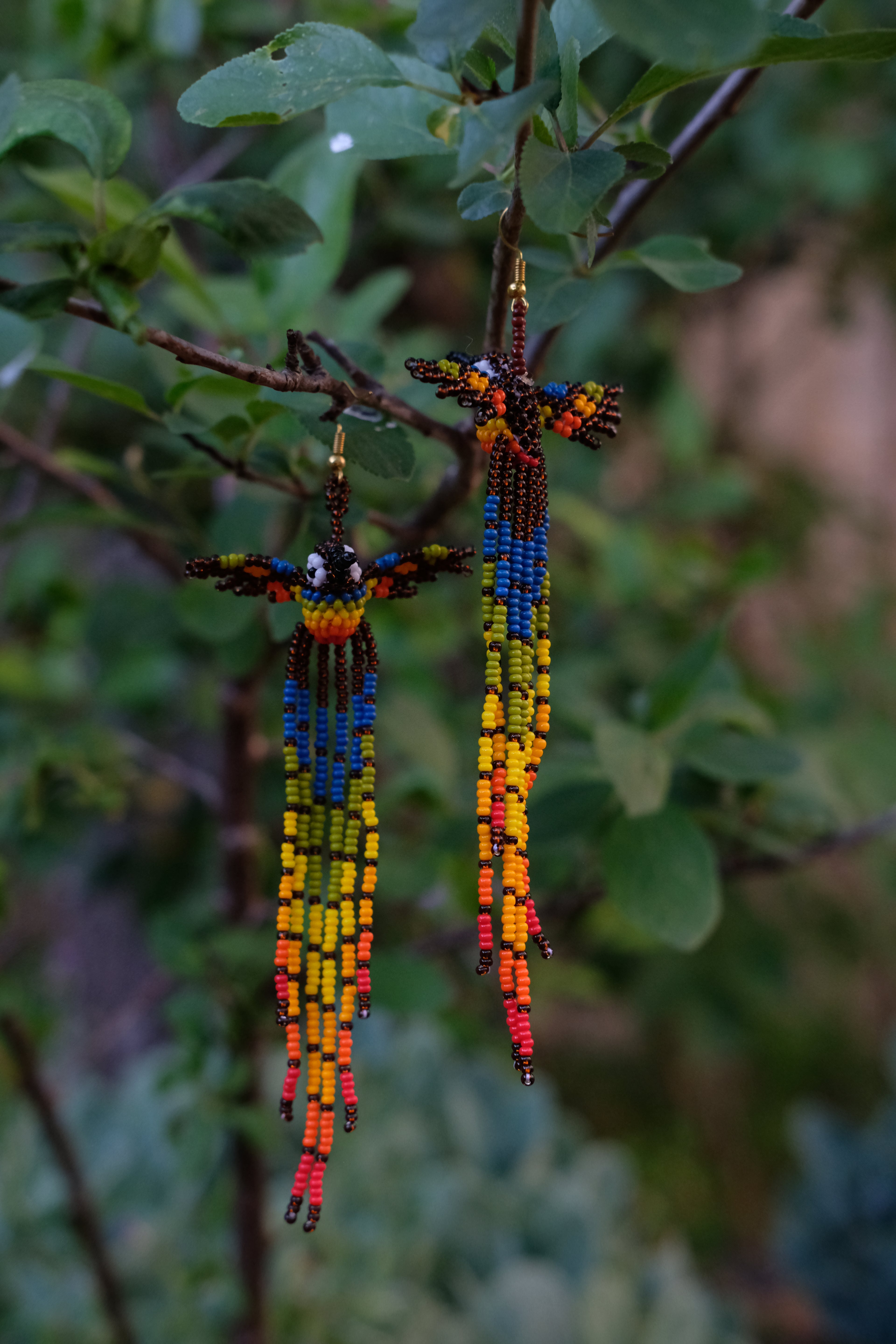 Espiritu del Colibri