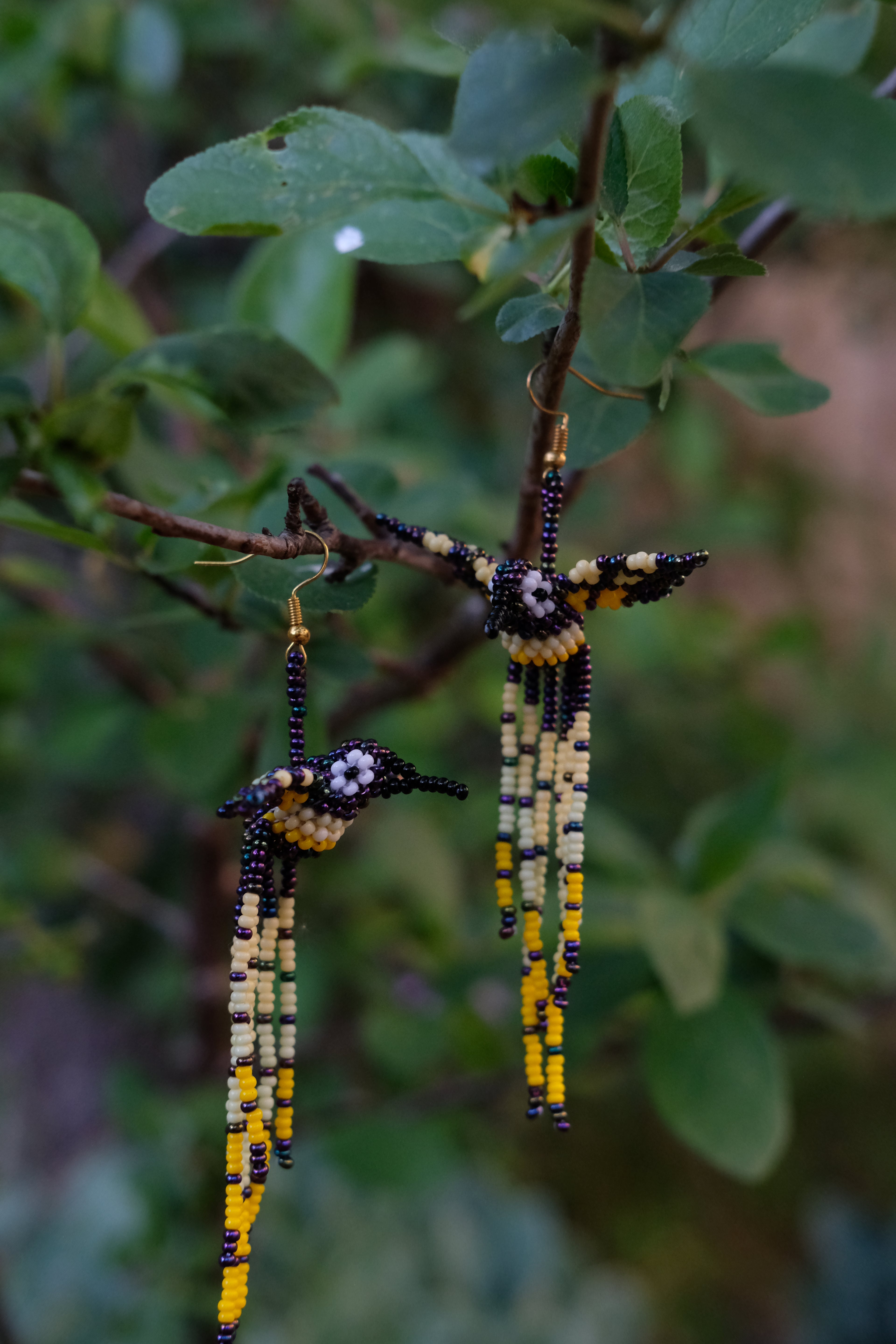 Espiritu del Colibri