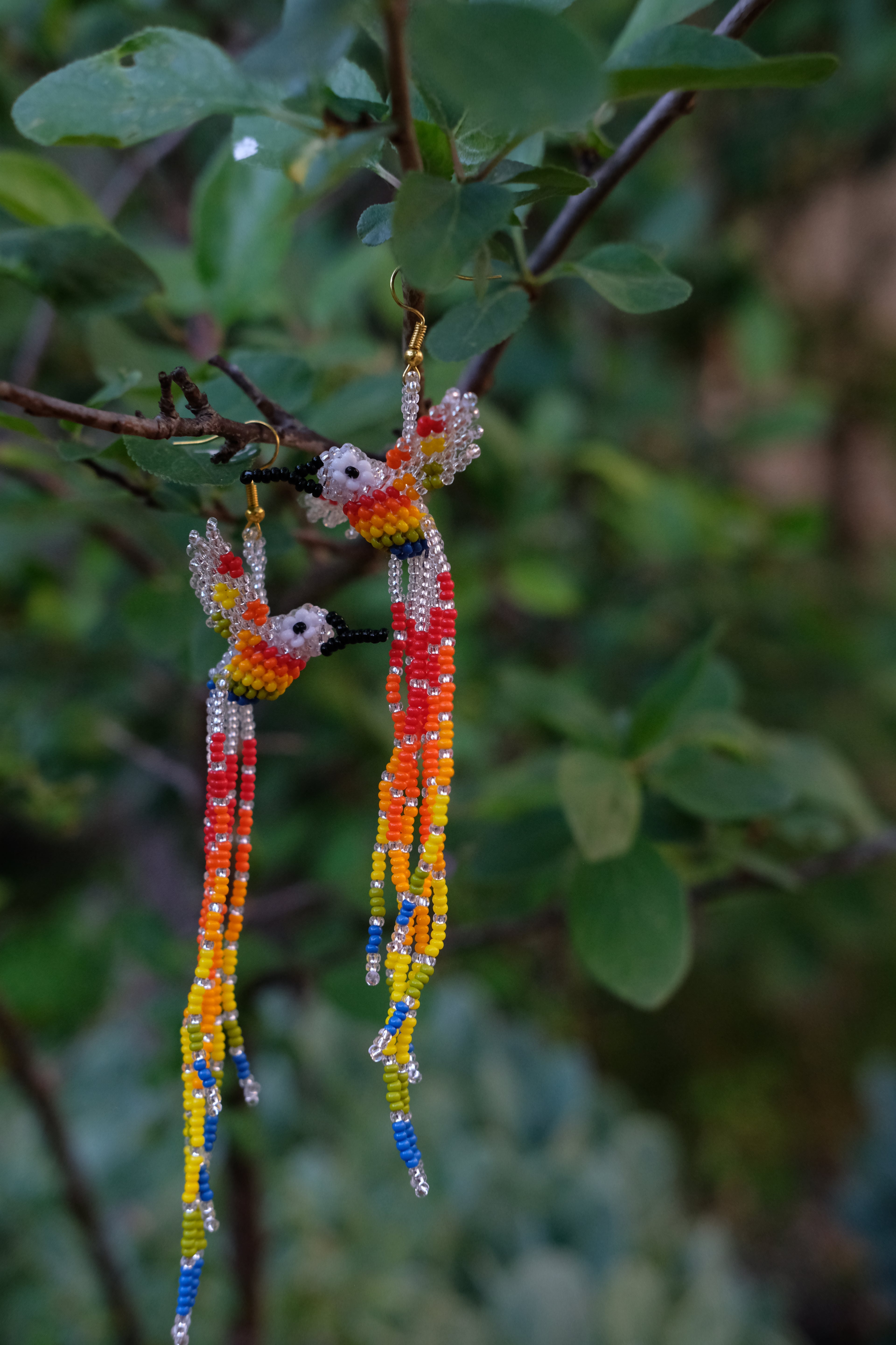Espiritu del Colibri