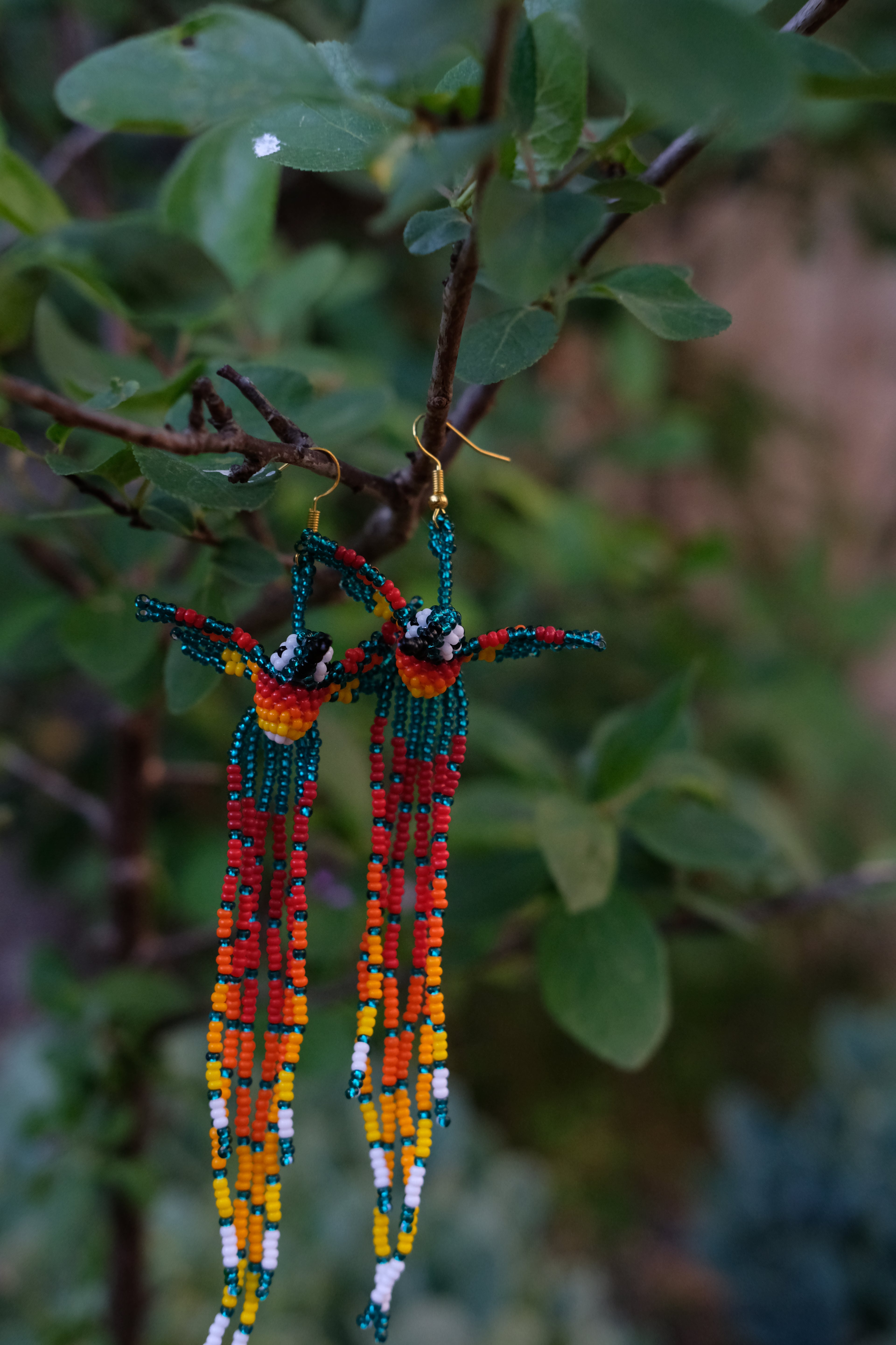 Espiritu del Colibri