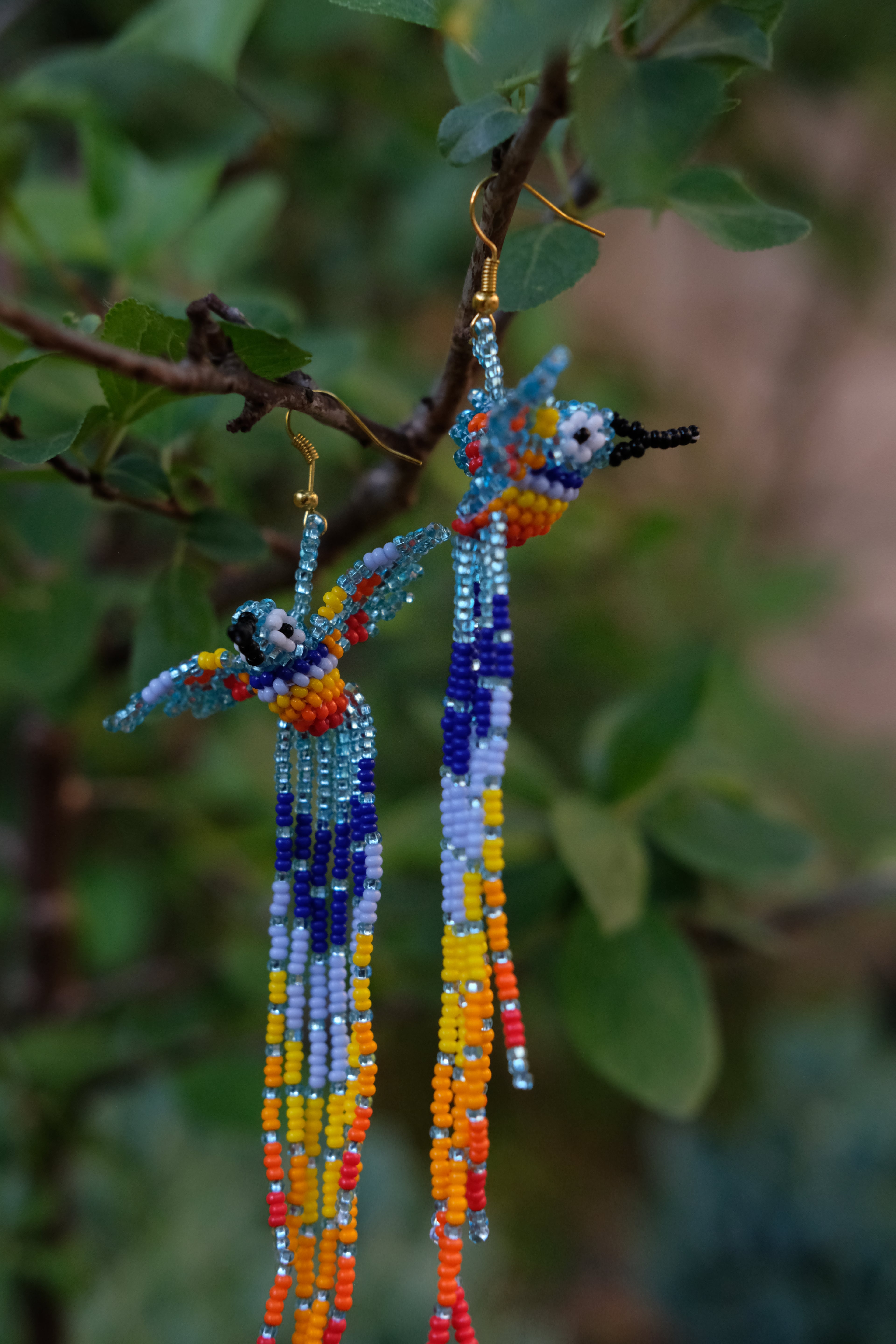 Espiritu del Colibri