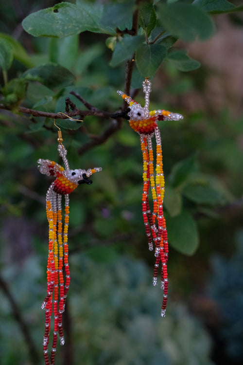 Espiritu del Colibri