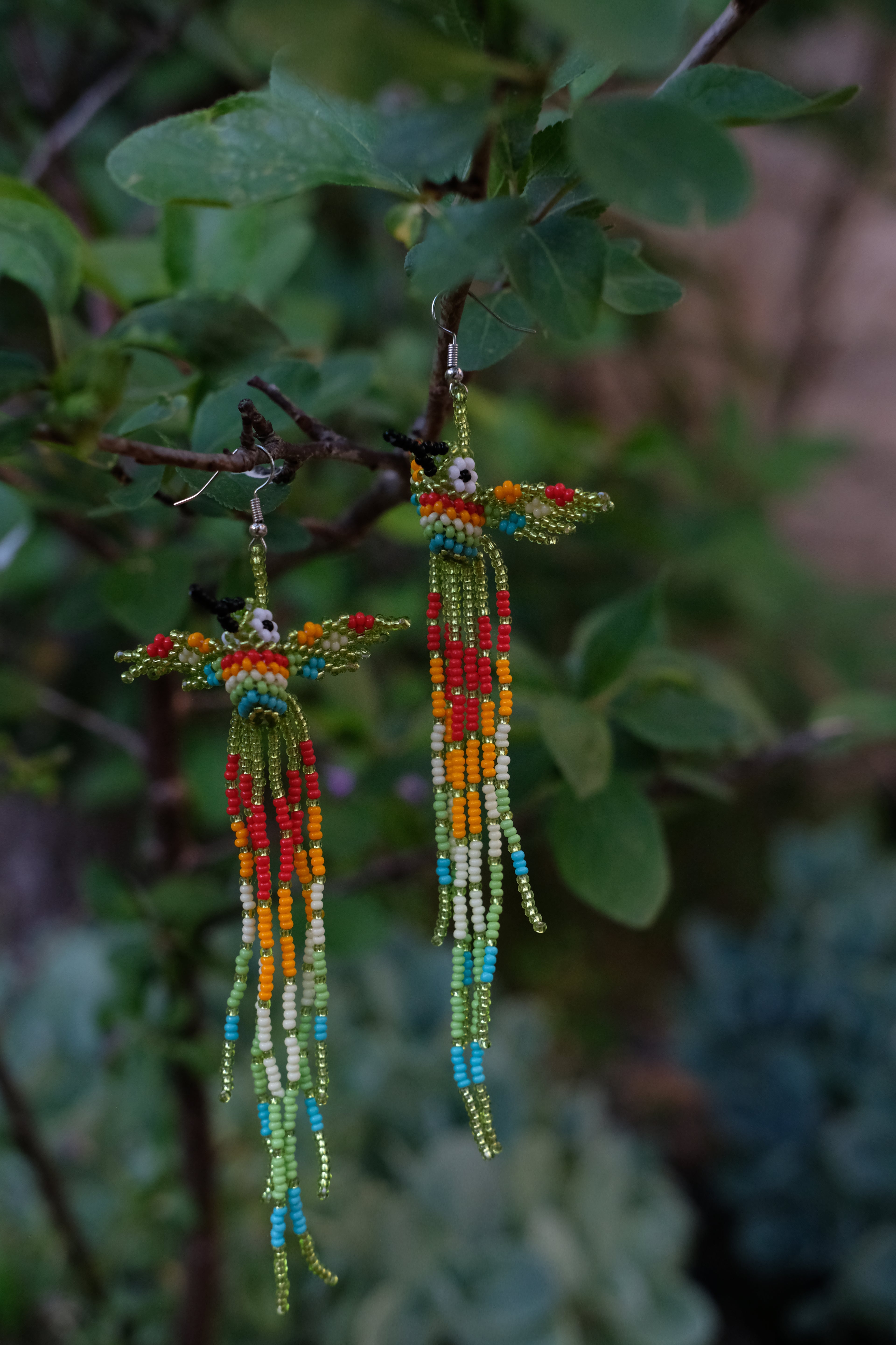 Espiritu del Colibri