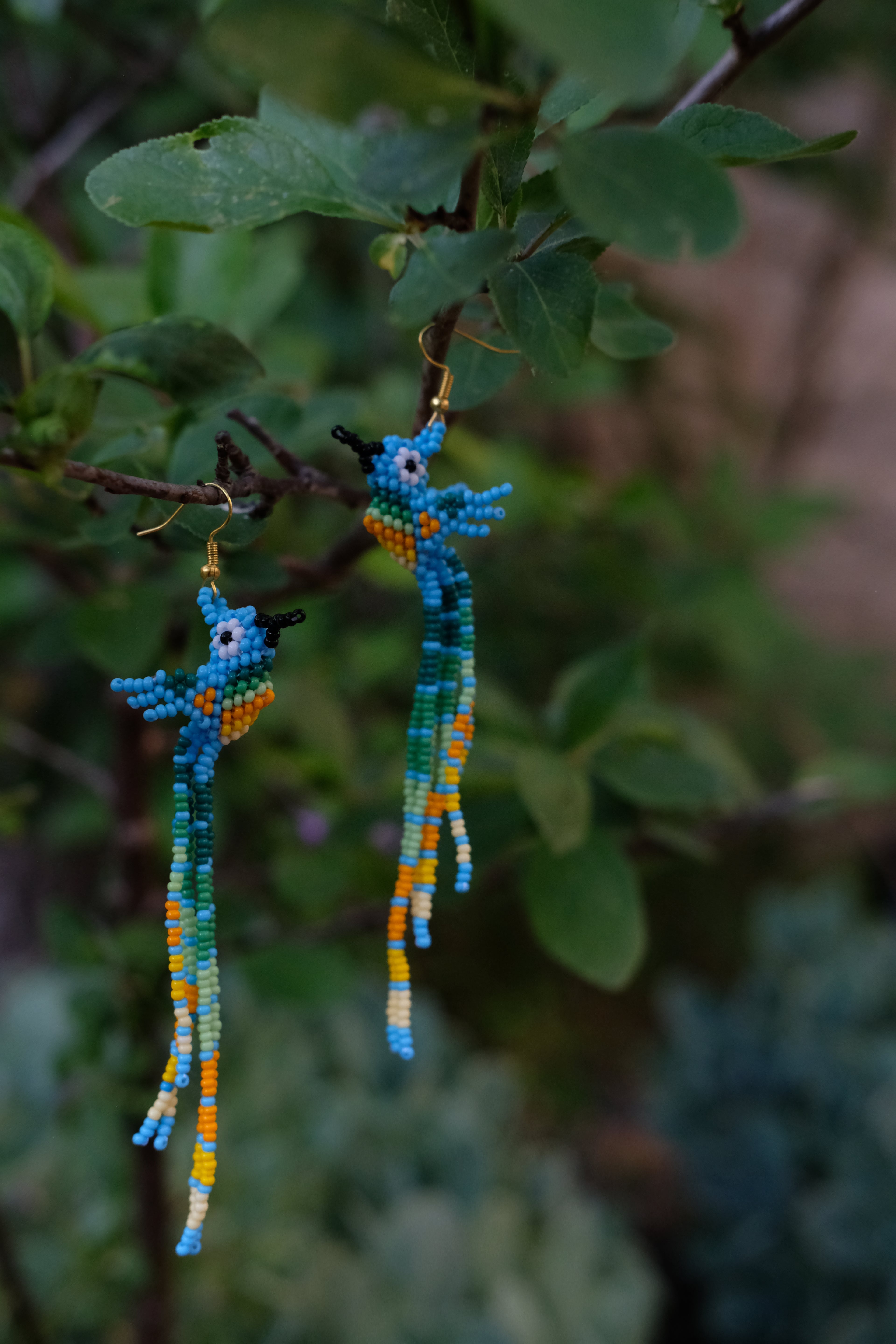Espiritu del Colibri