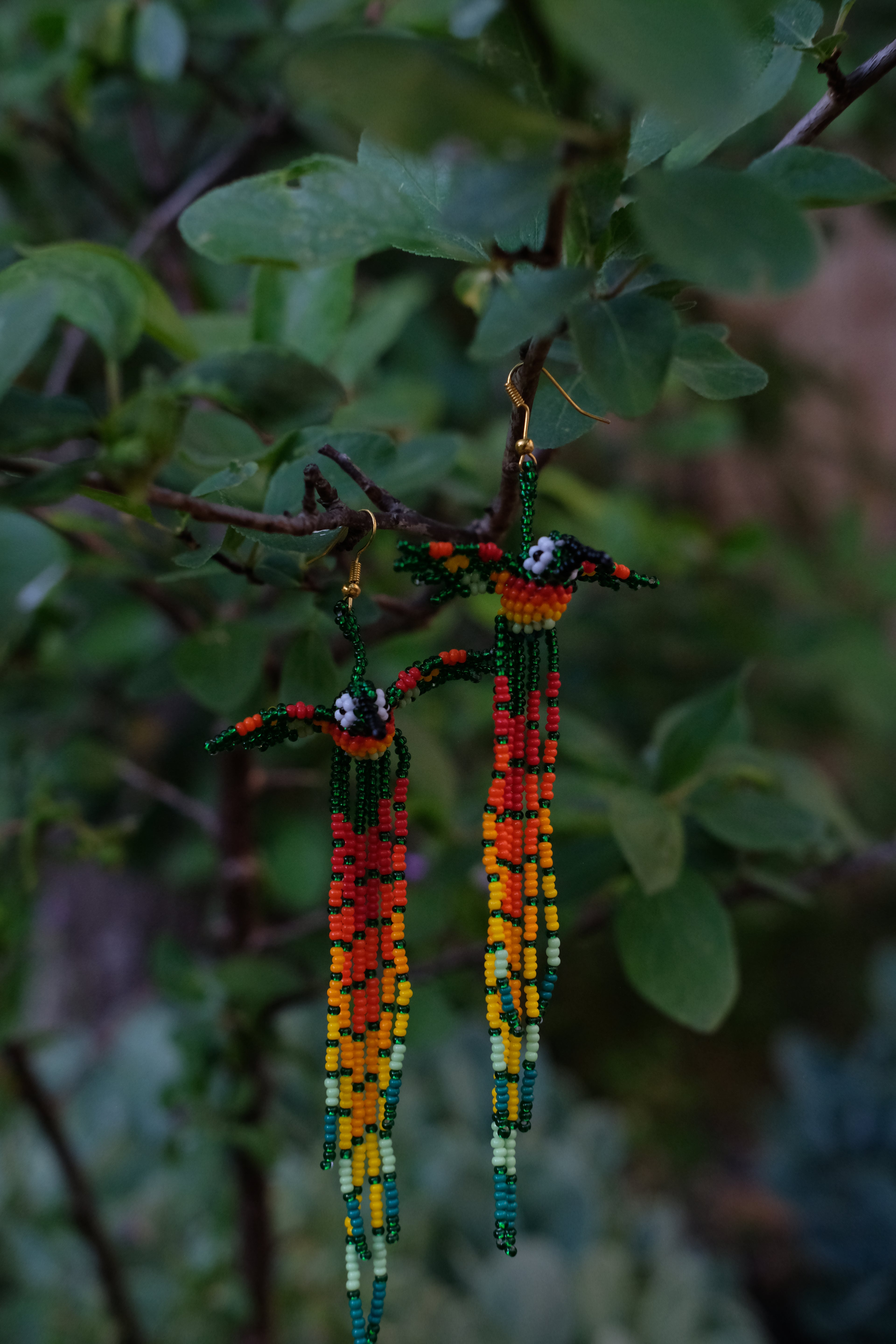 Espiritu del Colibri