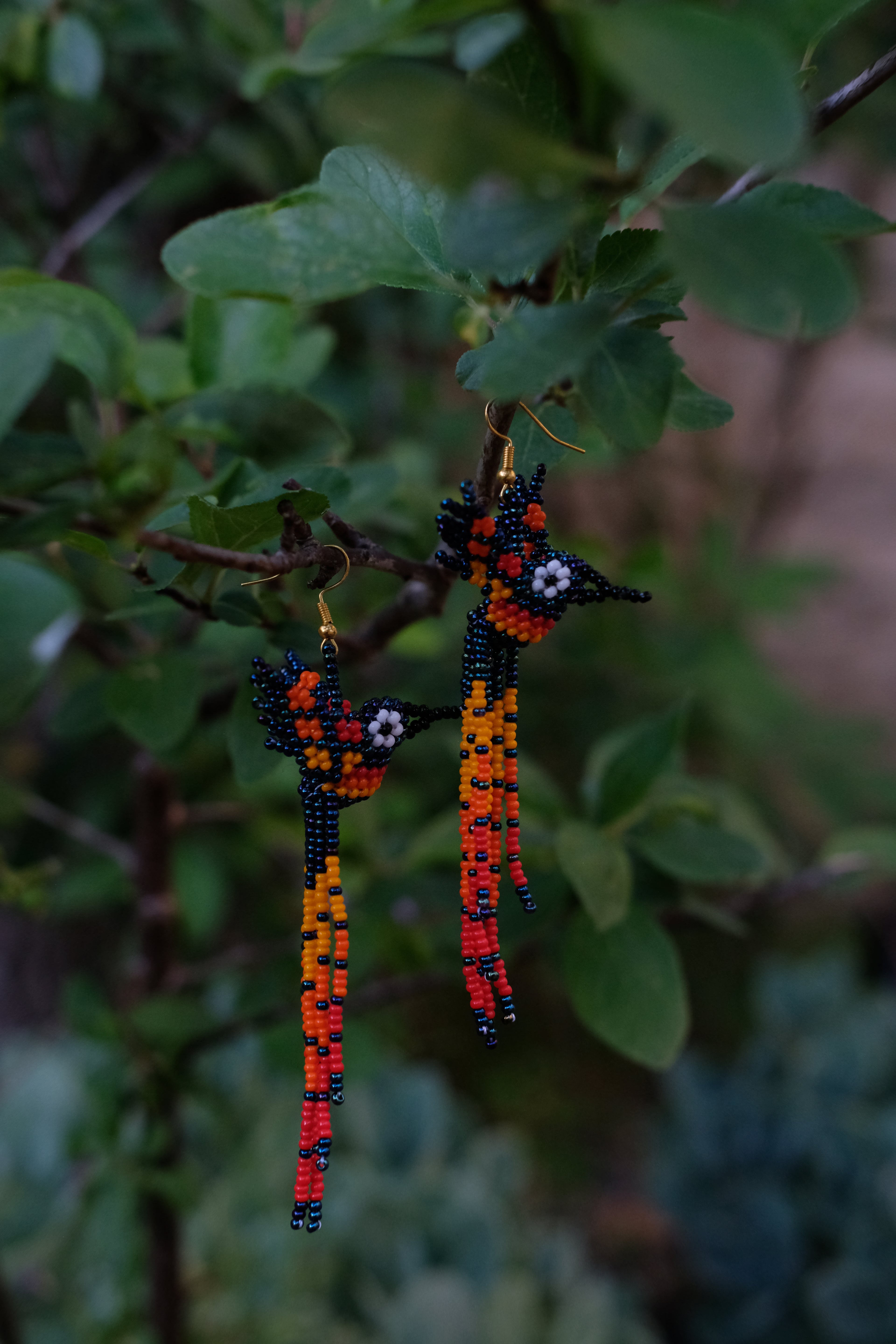 Espiritu del Colibri