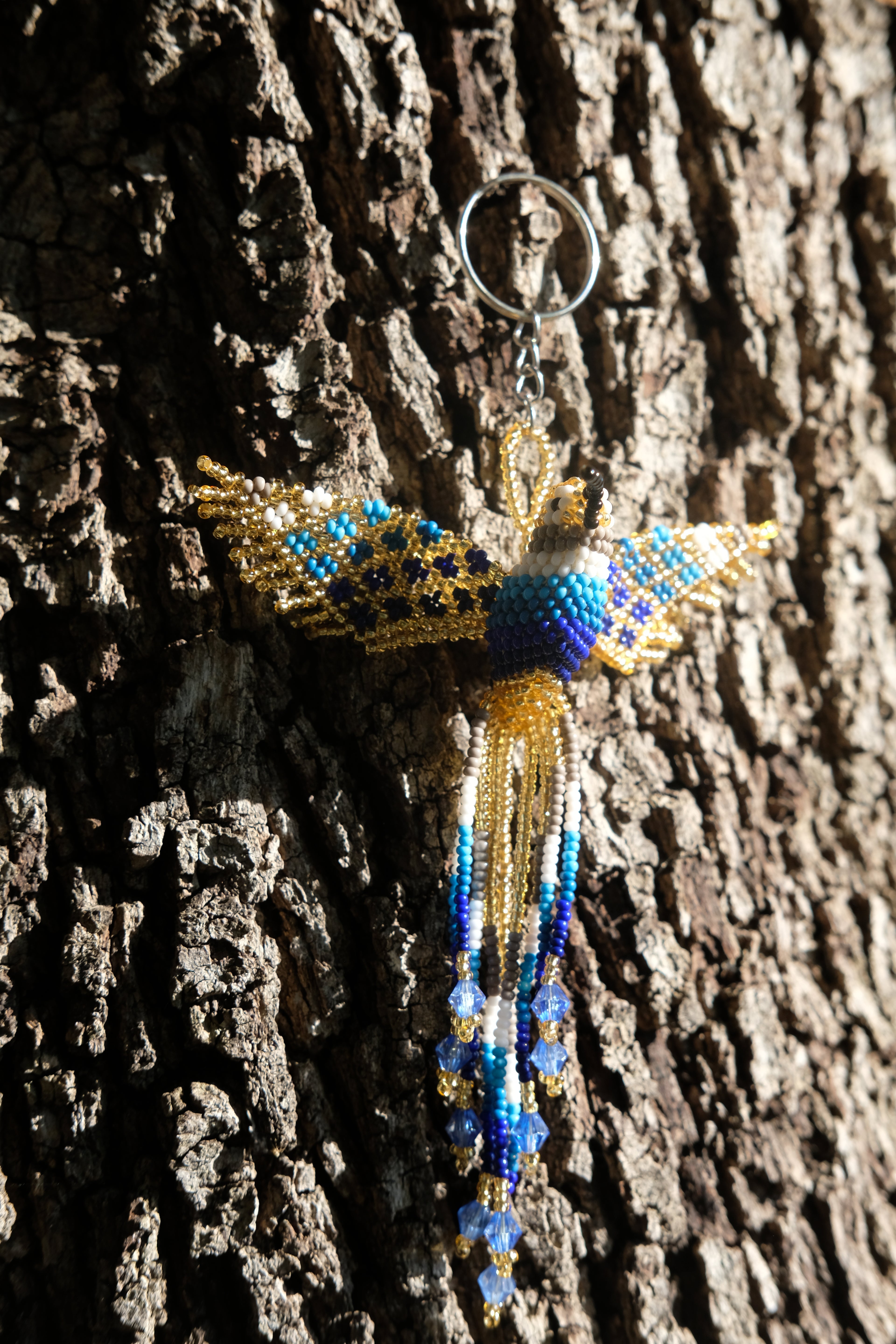 Colibri