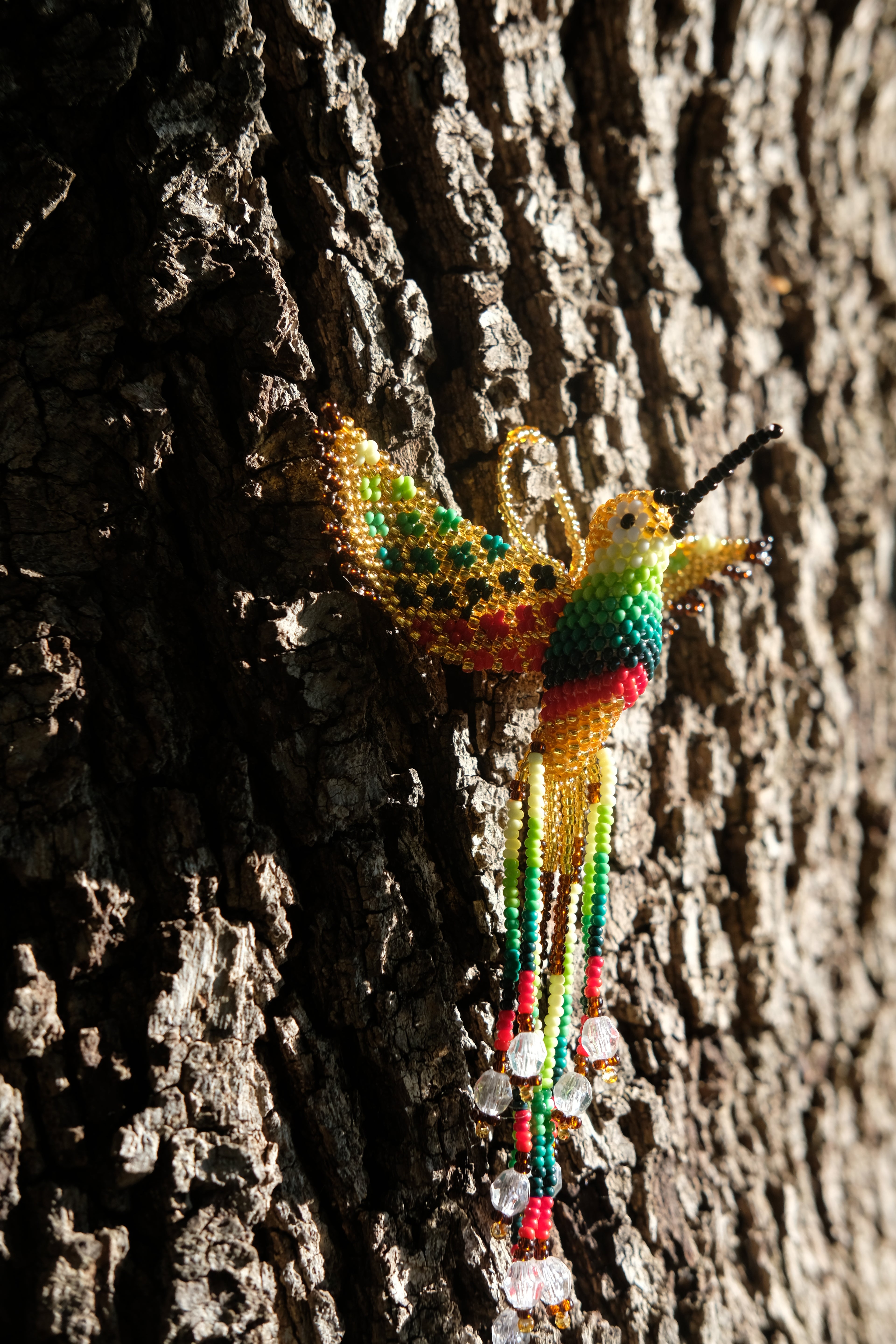 Colibri