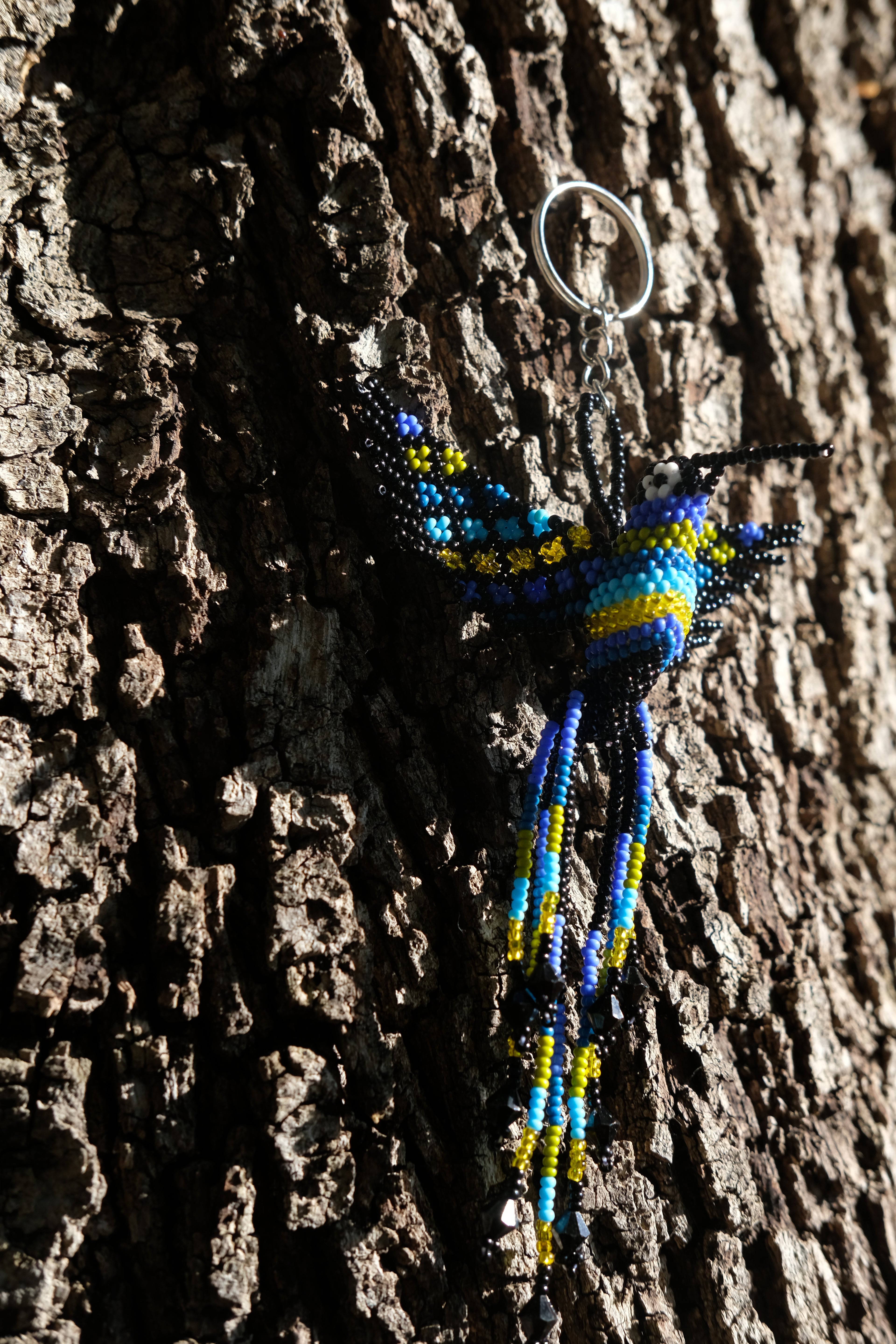 Colibri
