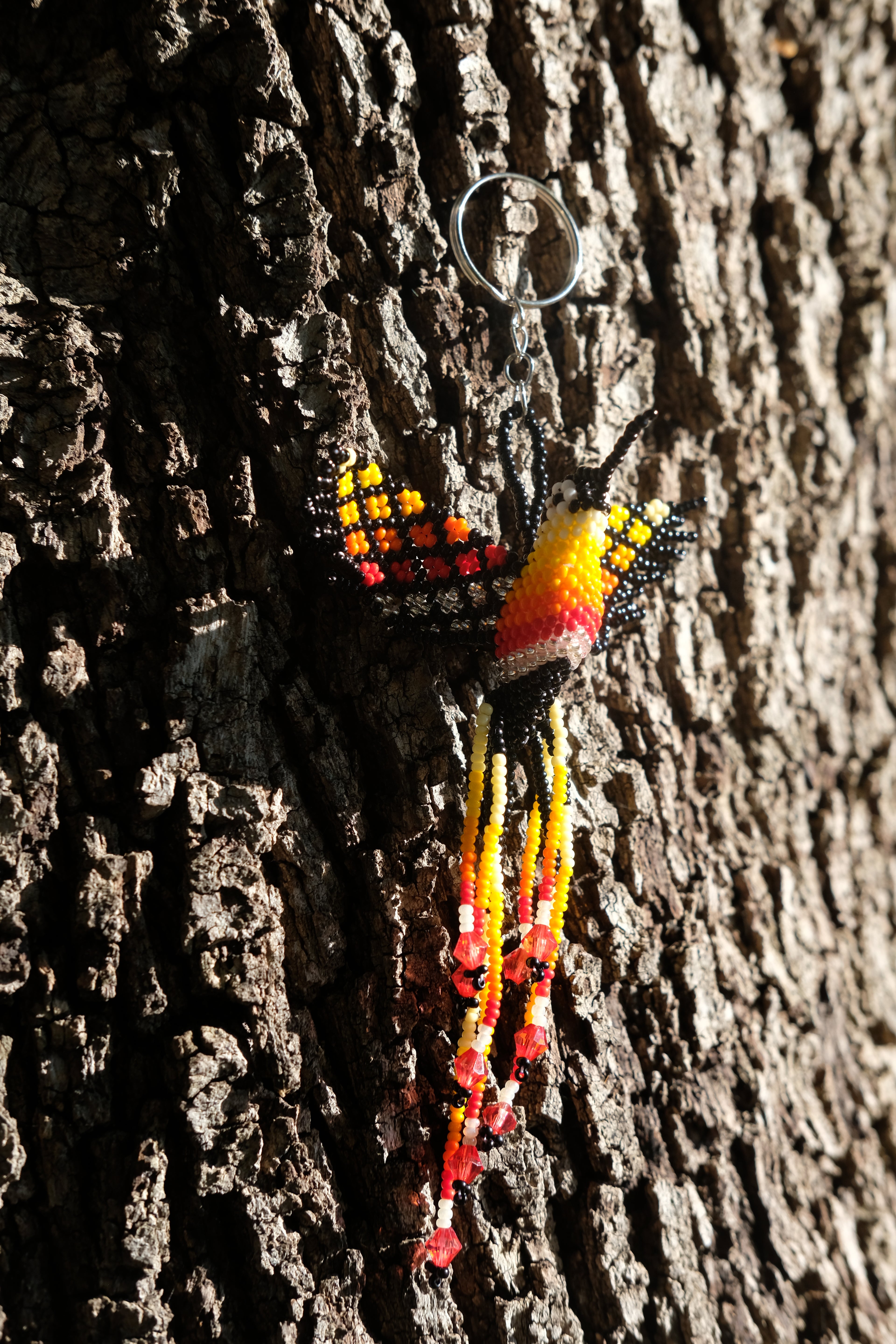 Colibri