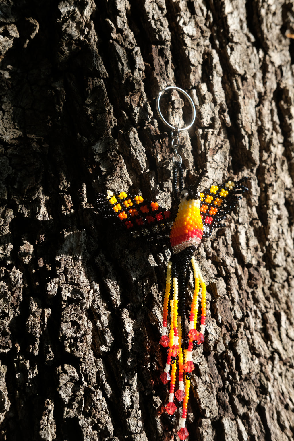 Colibri