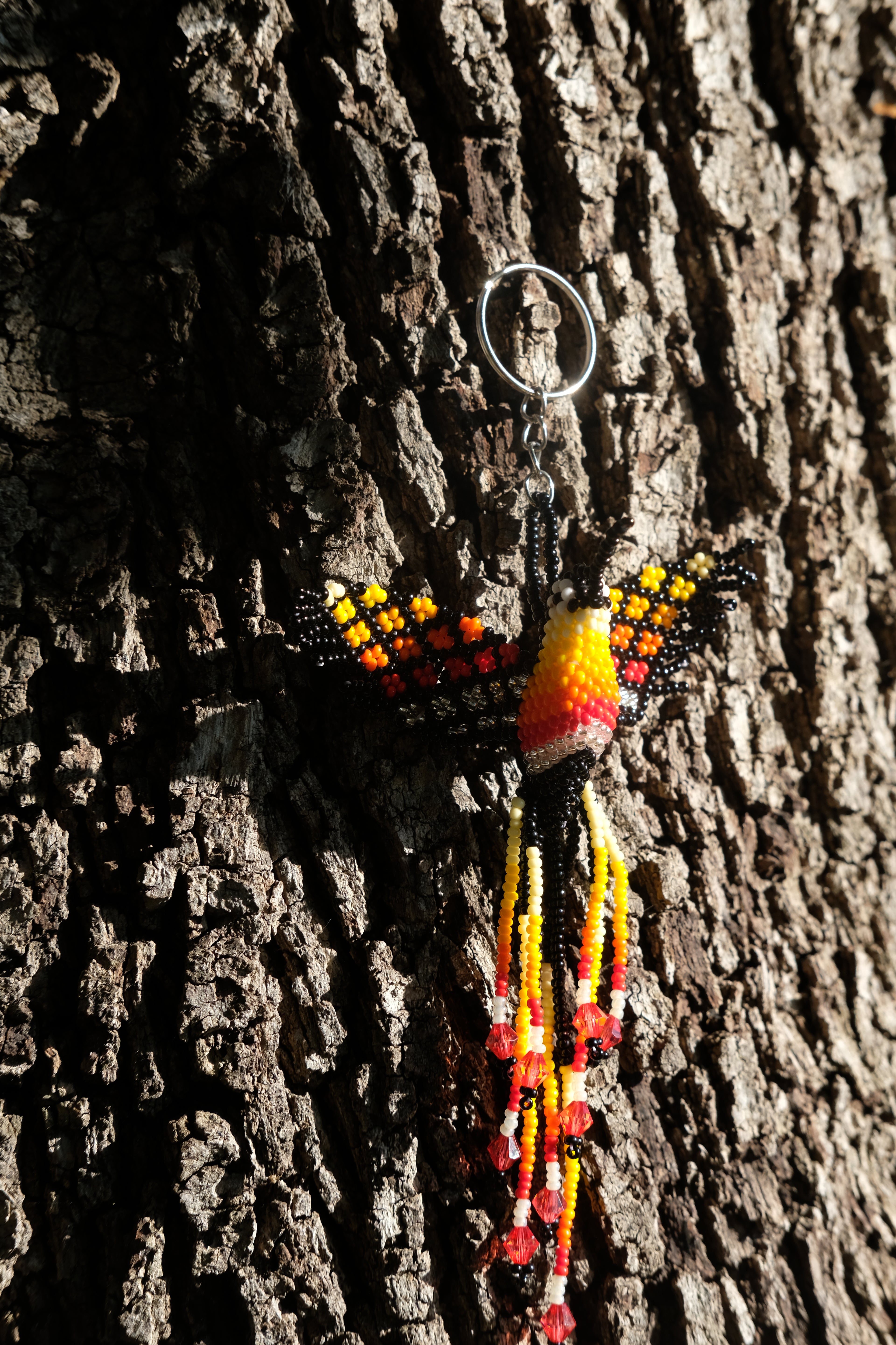 Colibri