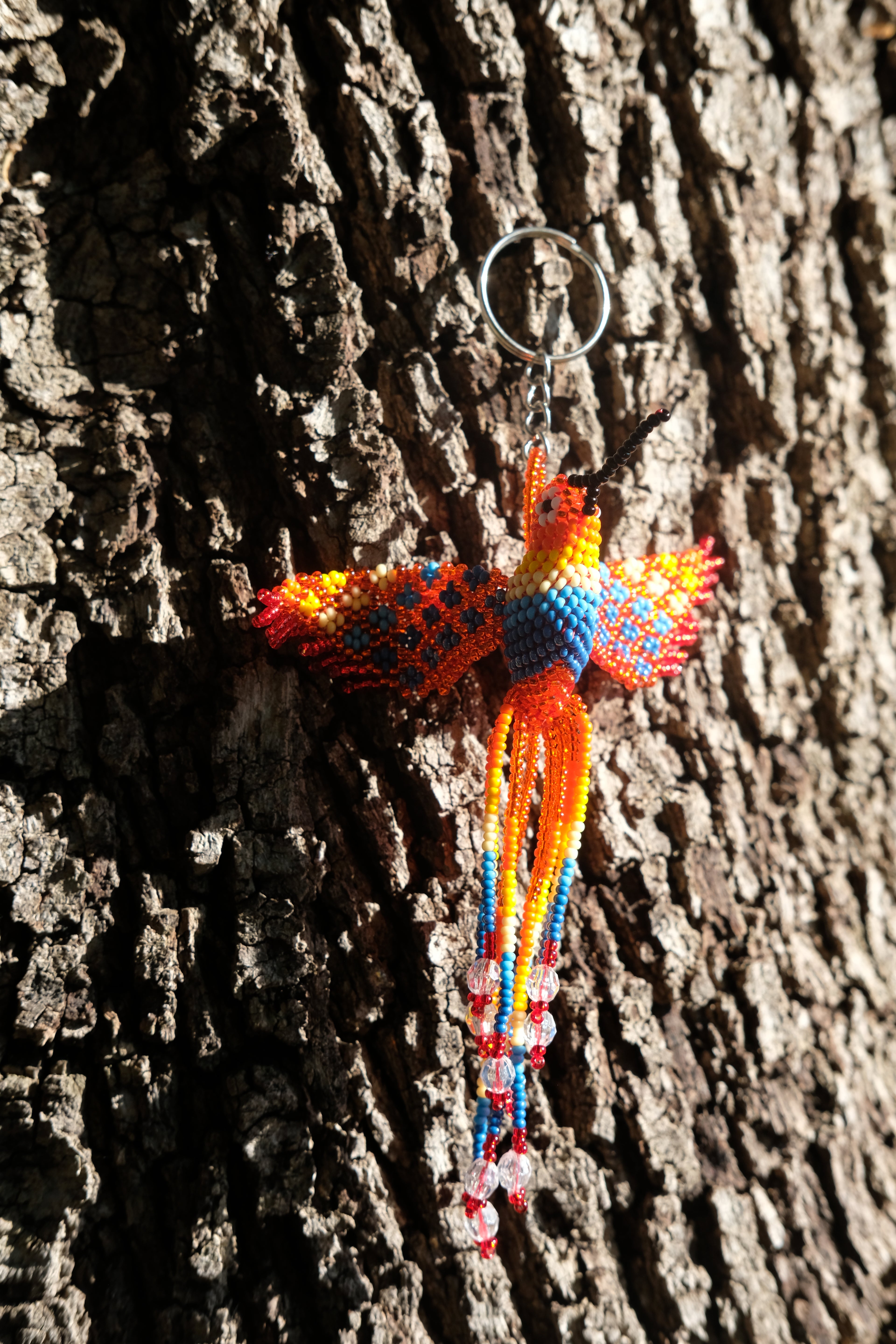 Colibri