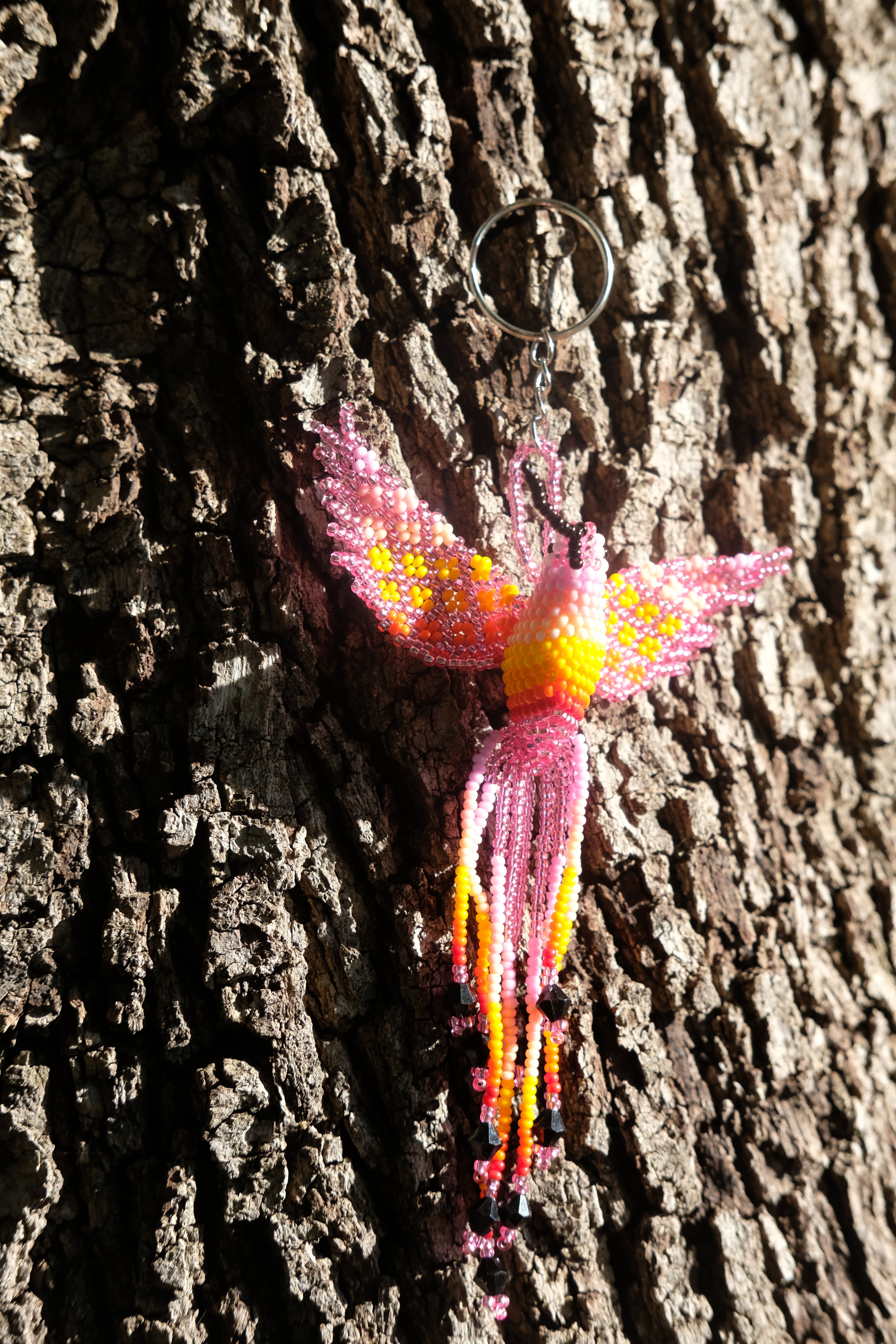 Colibri