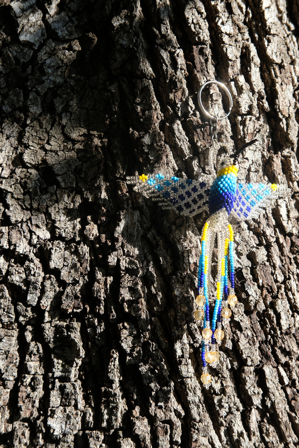 Colibri