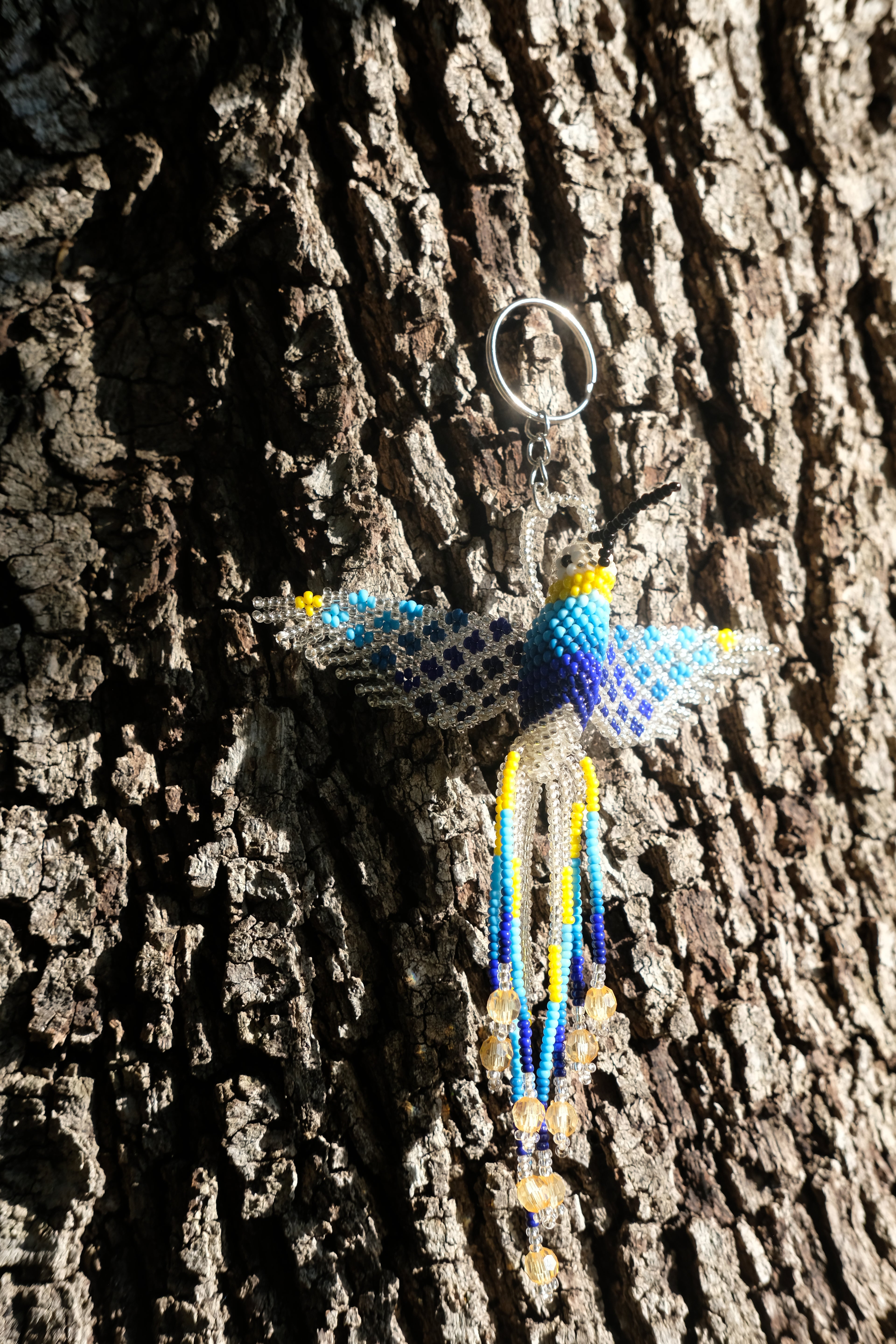 Colibri