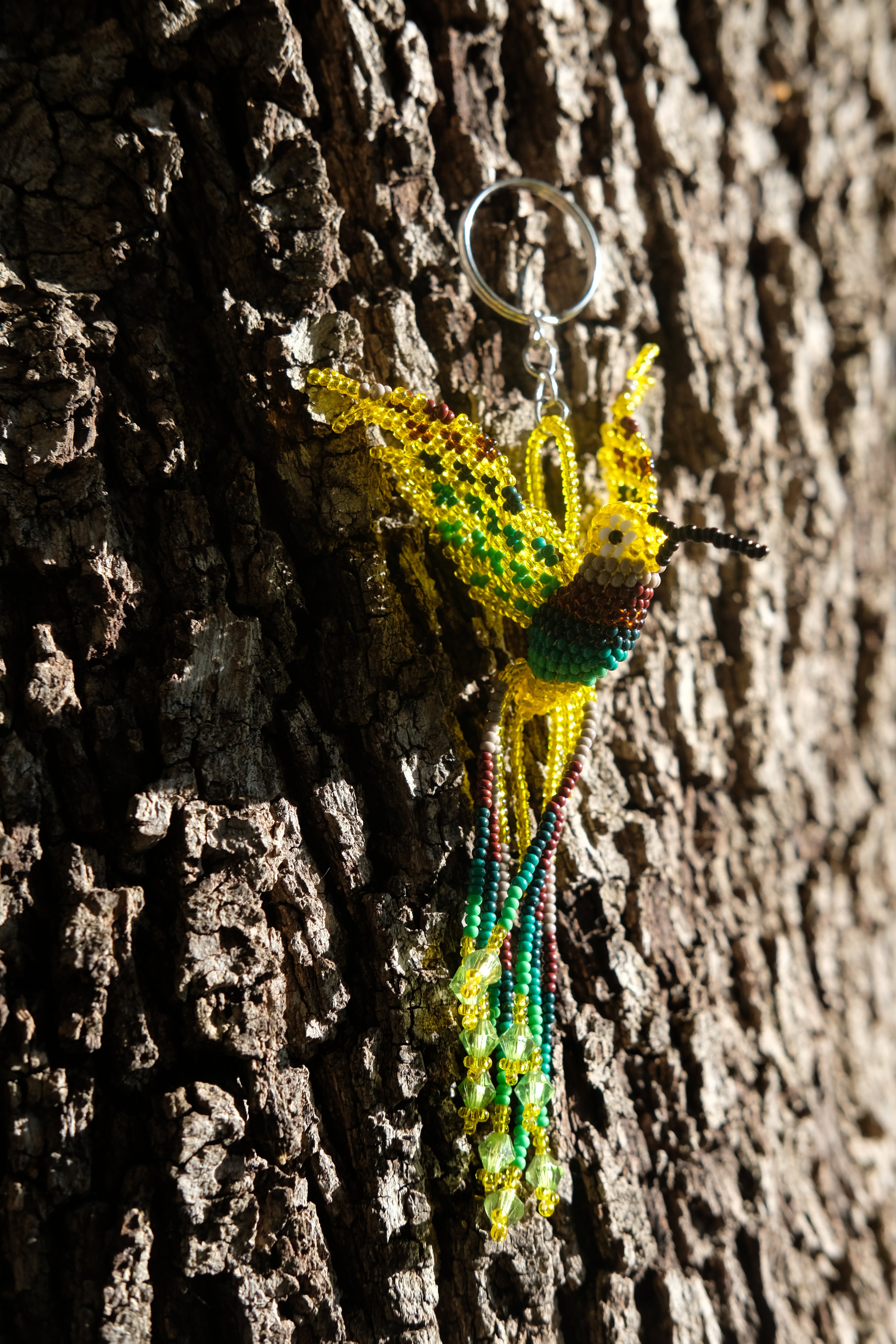 Colibri