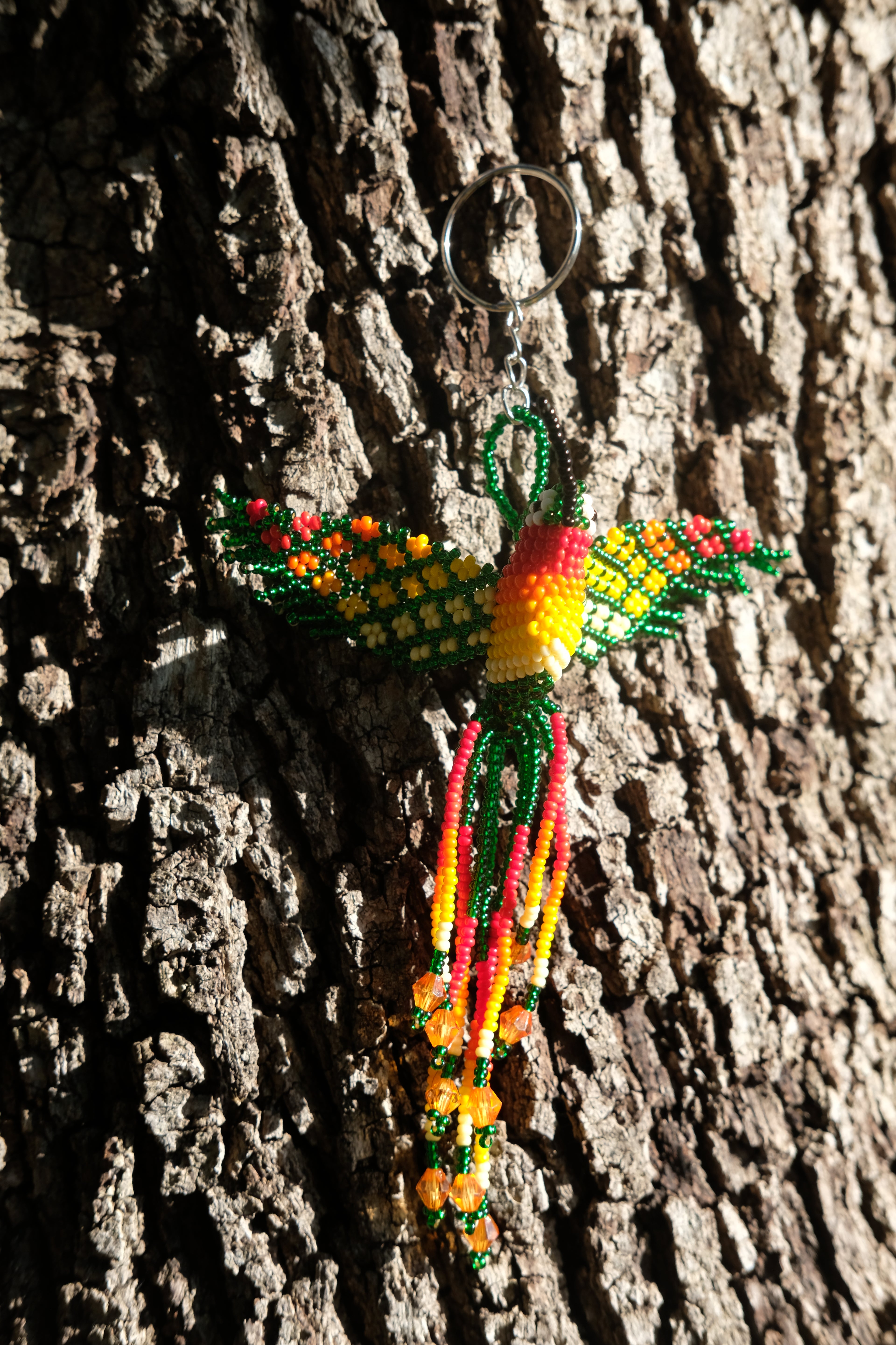 Colibri