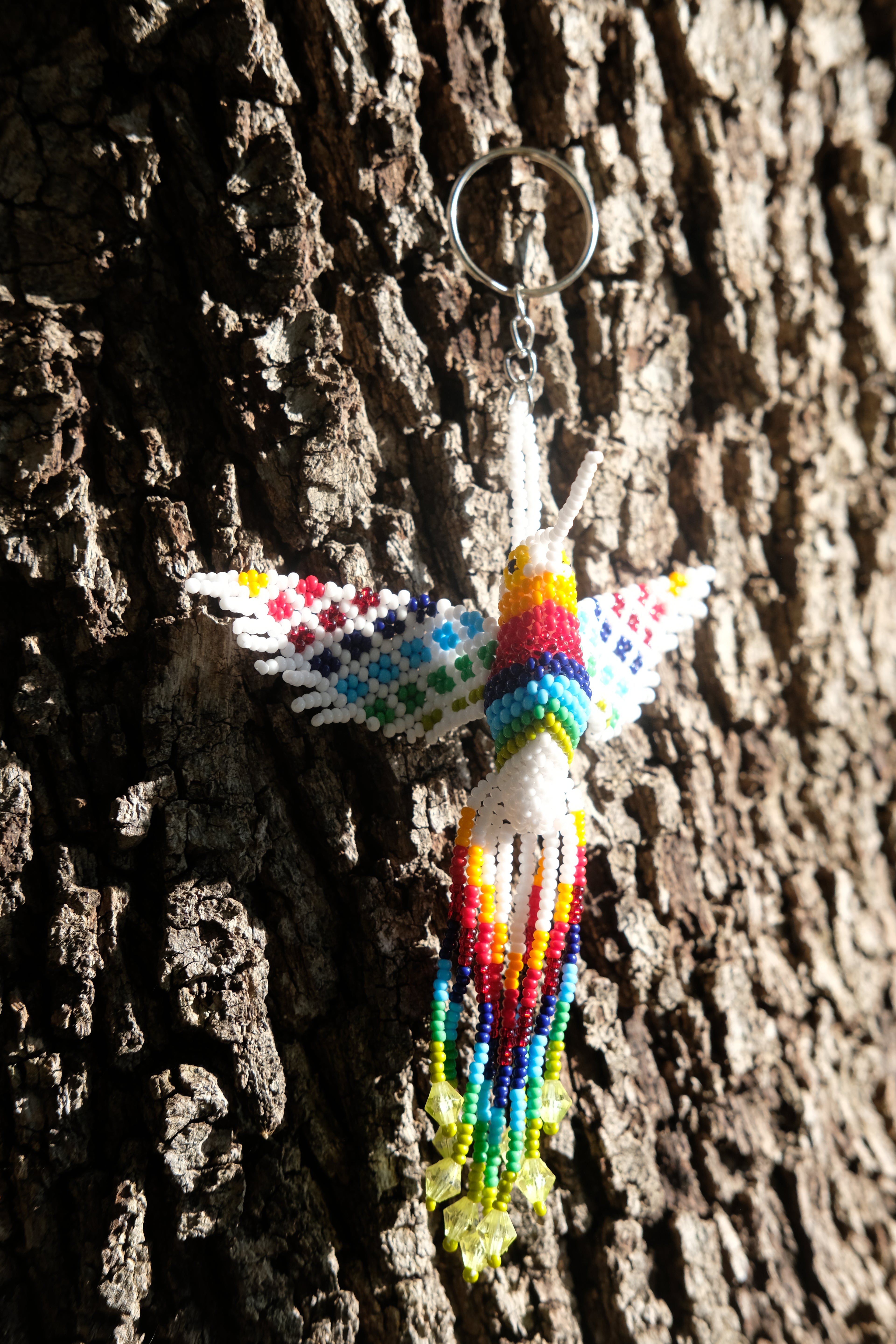 Colibri